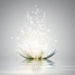 meditation